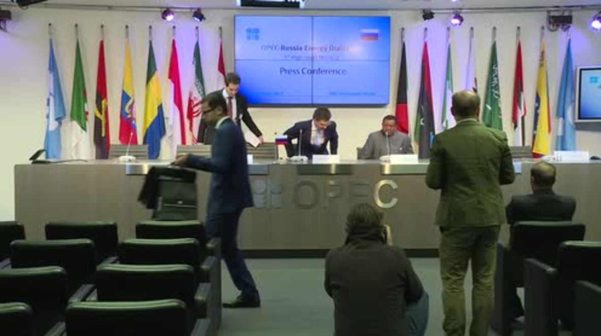 Austria: Russia-OPEC cooperation 'imperative' to stabilise oil market - Novak