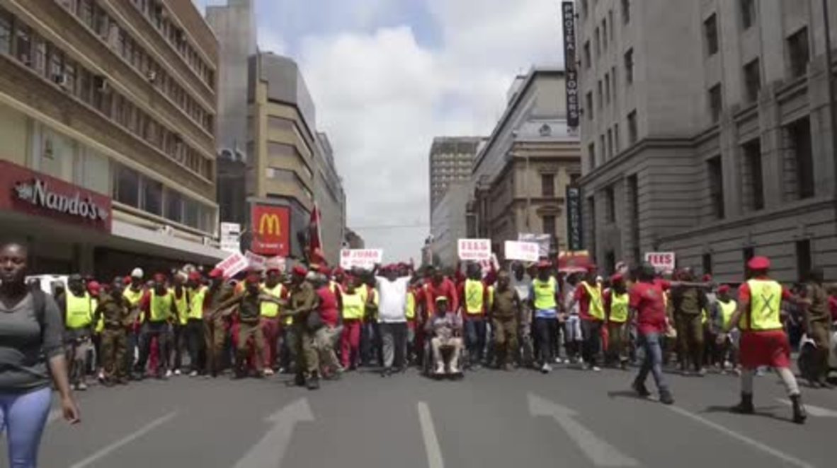 South Africa: Opposition march in Pretoria as Zuma anti-corruption report published