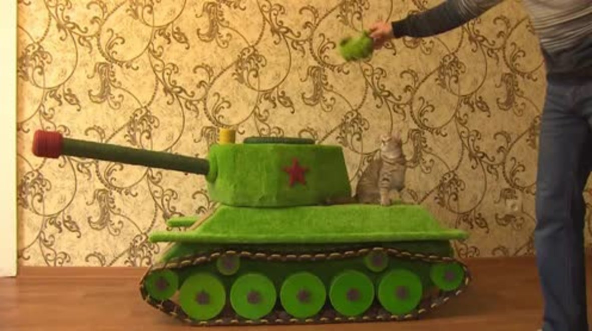 Russia: This cat loves its new T-34 tank playhouse