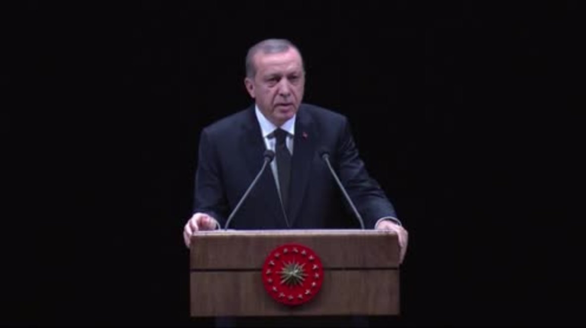 Turkey: 'We cannot be prisoners in 780 sq km' - Erdogan advocates Turkish expansion