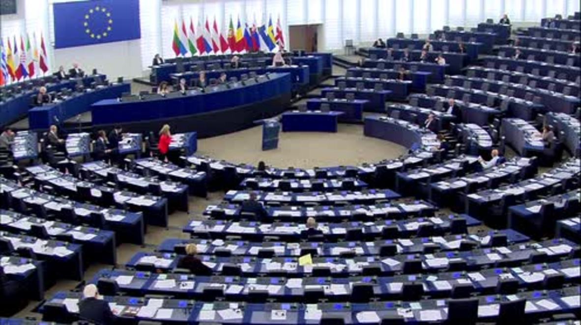 France: Trump will 'bring about a major change' in Syria, NF's General Secretary tells EP