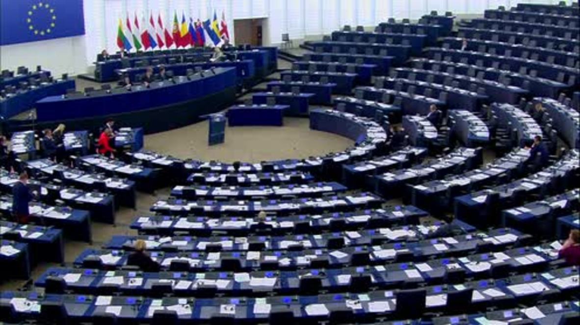 France: MEPs denounce ‘insane’ report that gives parity to Russia and IS