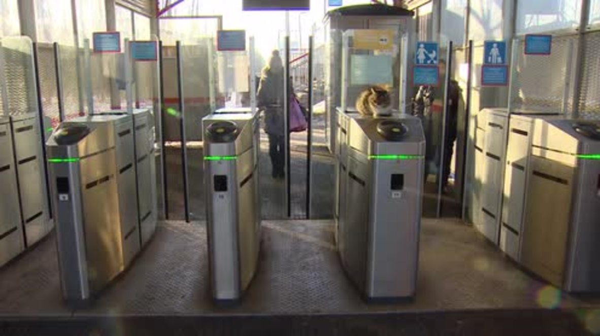 Russia: Cat’s a fine! Feline keeps an eye on would-be rail fare-dodgers