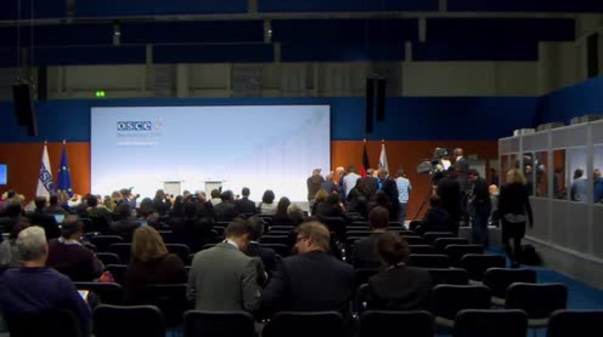 Germany: Talks around ceasefire and humanitarian aid in Syria point to progress - Steinmeier