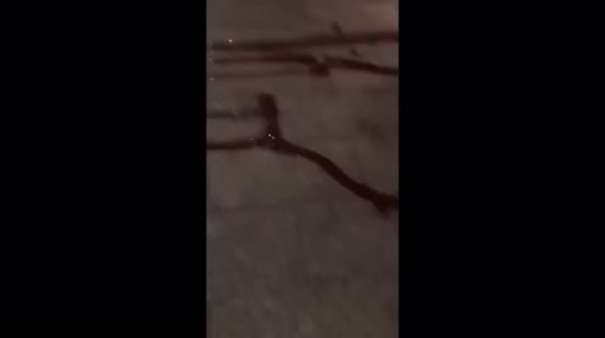 Germany: Bloody aftermath of Berlin Christmas market incident caught on phone *GRAPHIC*