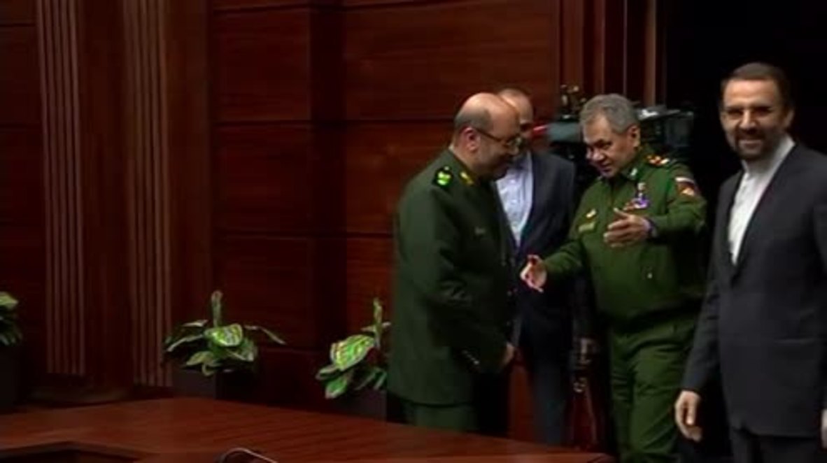 Russia: Russia, Turkey, Iran ready to guarantee Syria settlement - Shoigu