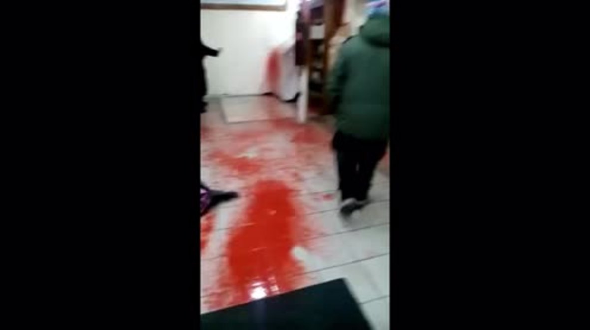 Ukraine: Synagogue in Uman vandalised with fake blood and pig’s head bearing swastika