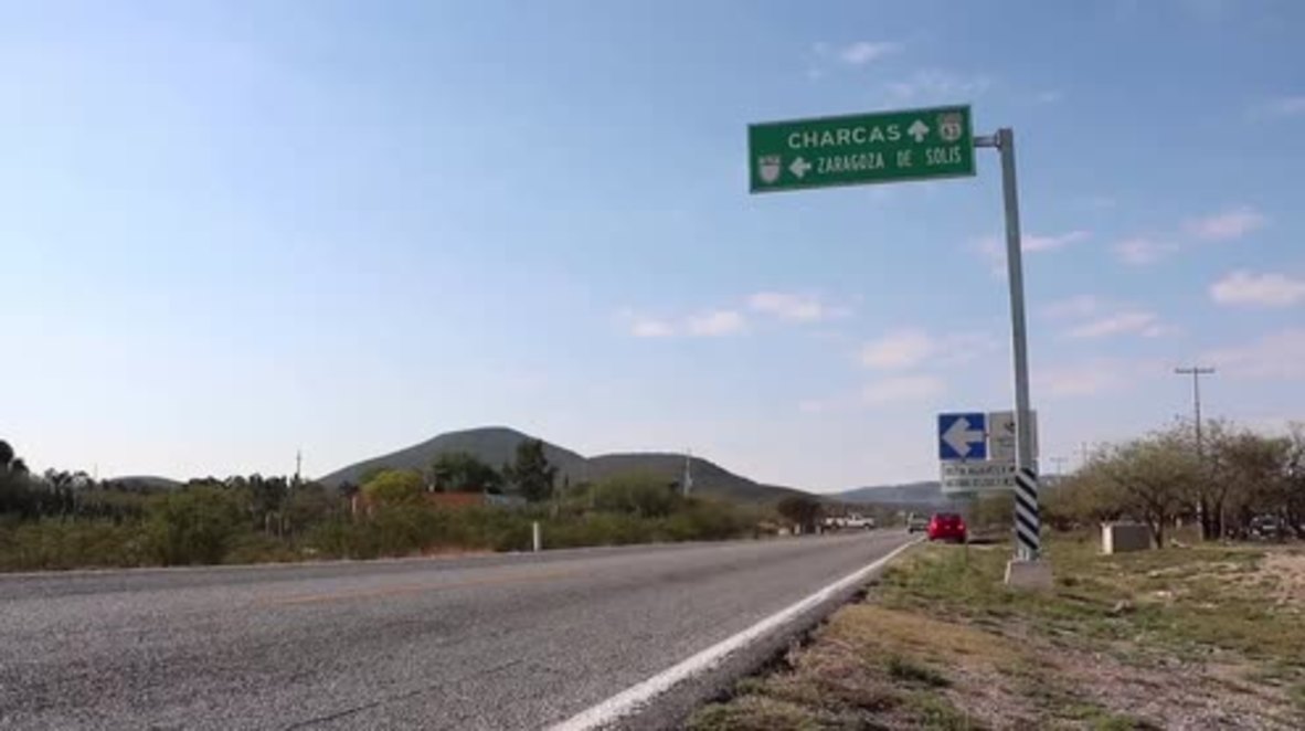 Mexico: Man killed in horse race at 15 year-old's viral birthday bash