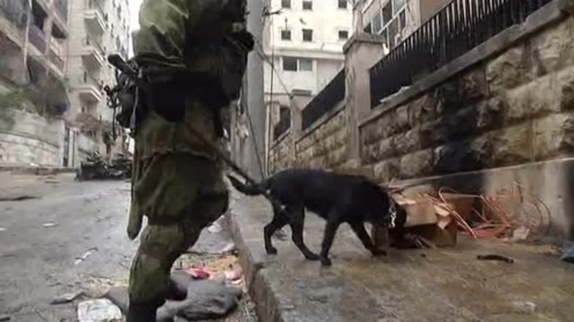 Syria: Russian sappers continue bomb disposal in liberated east Aleppo