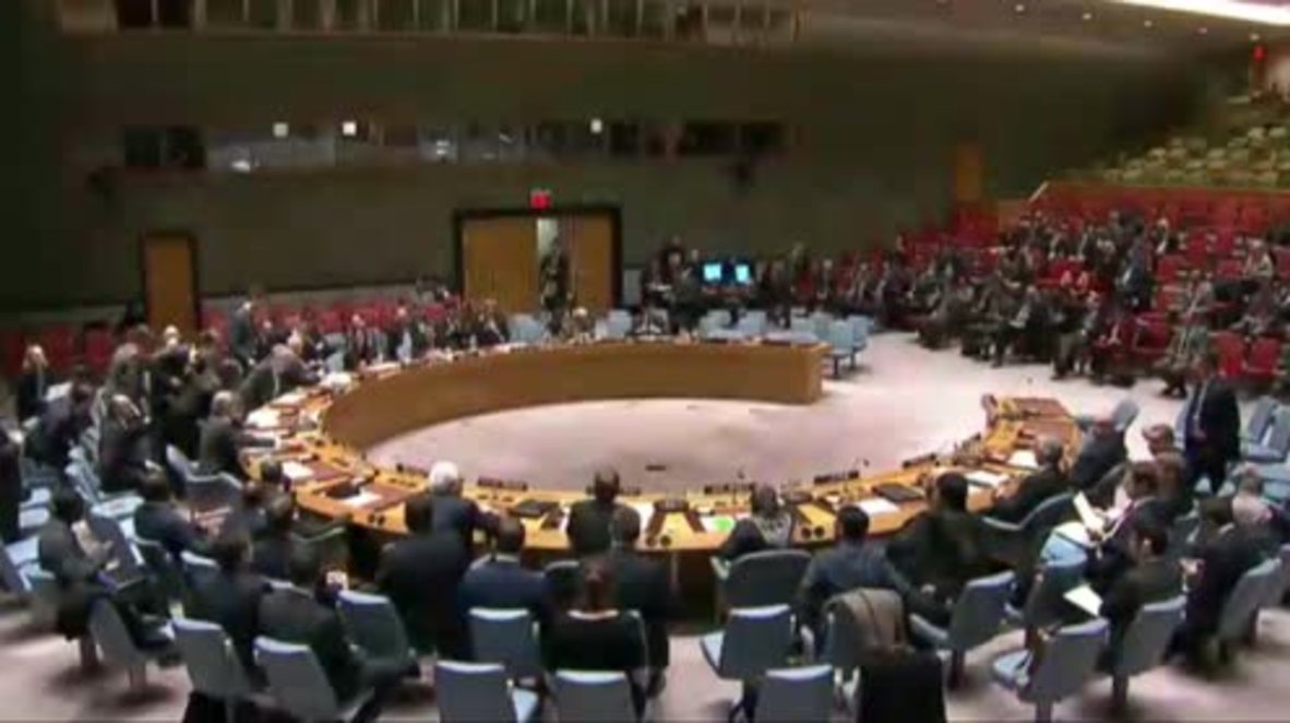 UN: Security Council backs Russian-drafted resolution on Syrian ceasefire
