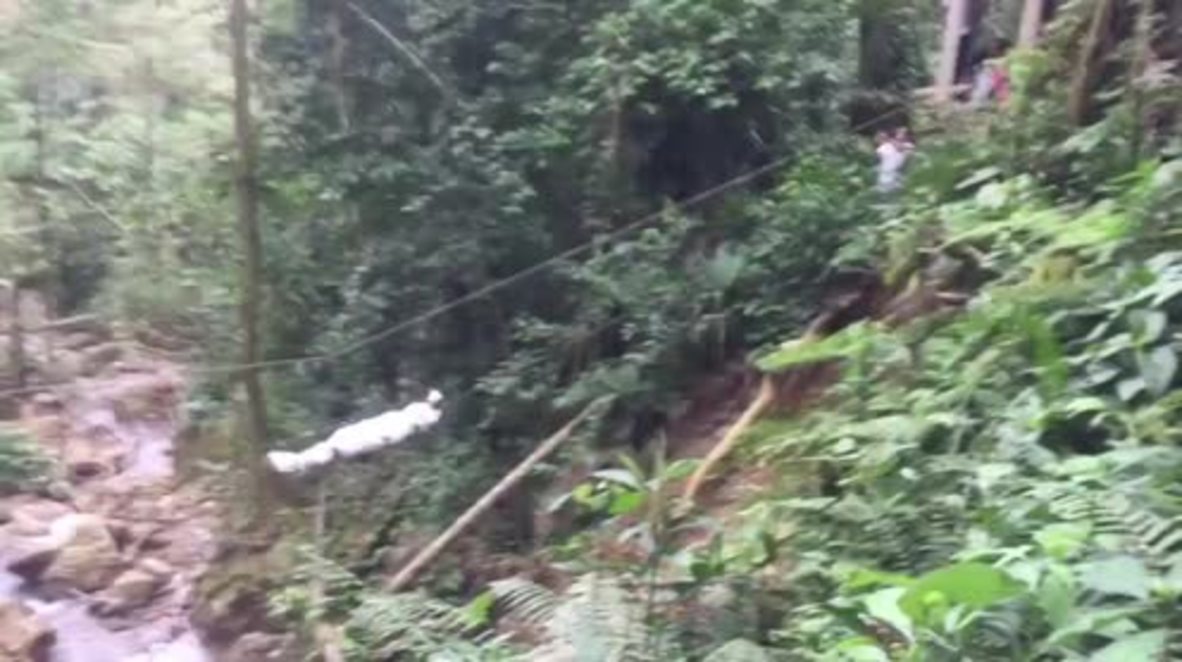 Colombia: Bridge collapse in Villavicencio kills seven people