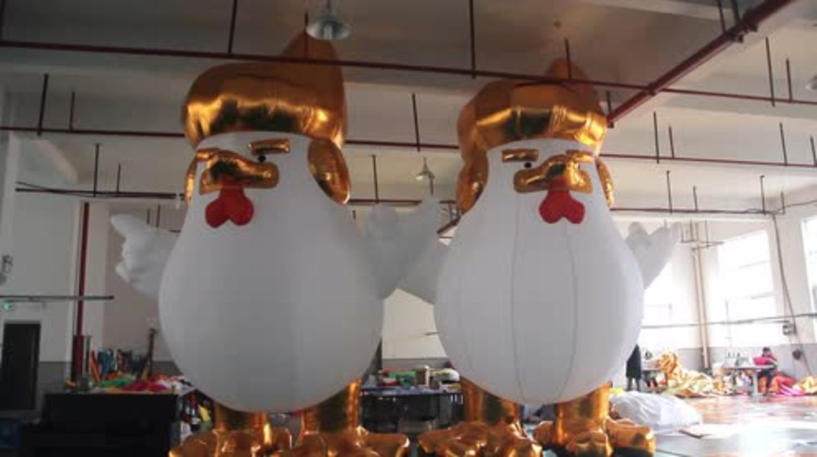 China: Jiaxing factory shows off its giant 'Super Trump' chicken balloons