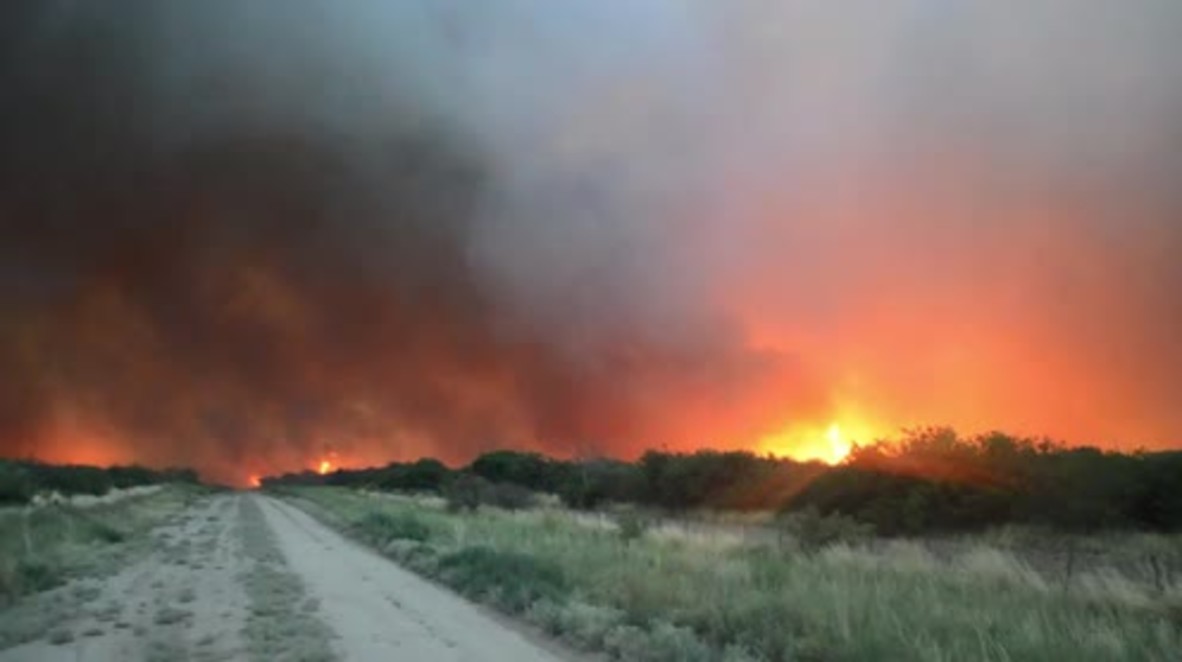 Argentina: Agricultural emergency declared as wildfire ravages million hectares in La Pampa