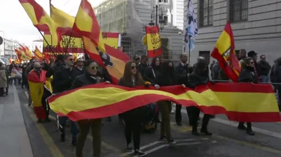 Spain: Around 1,000 far-right activists protest Catalan independence