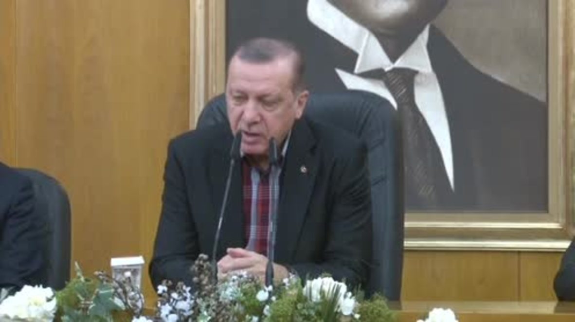 Turkey: Erdogan outlines plans for 'terror free' zone in Syria
