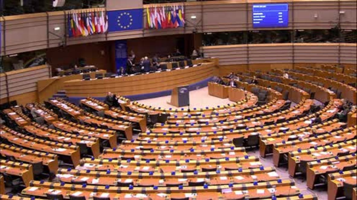 Belgium: Polish MEP claims gender pay gap is because women are 'smaller, weaker and less intelligent'