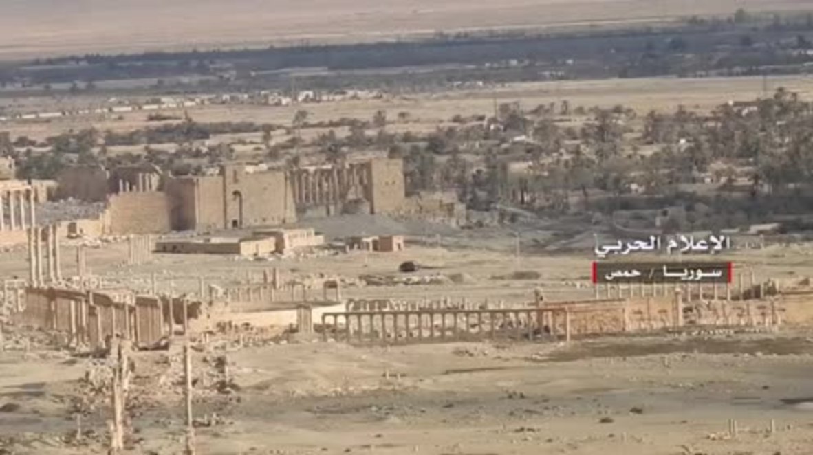 Syria: SAA deploy in newly liberated Palmyra