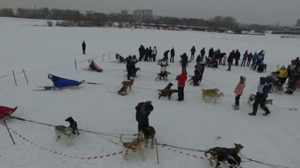 Russia: Huskies kick off 155-km dog sled race on frozen Lake Baikal