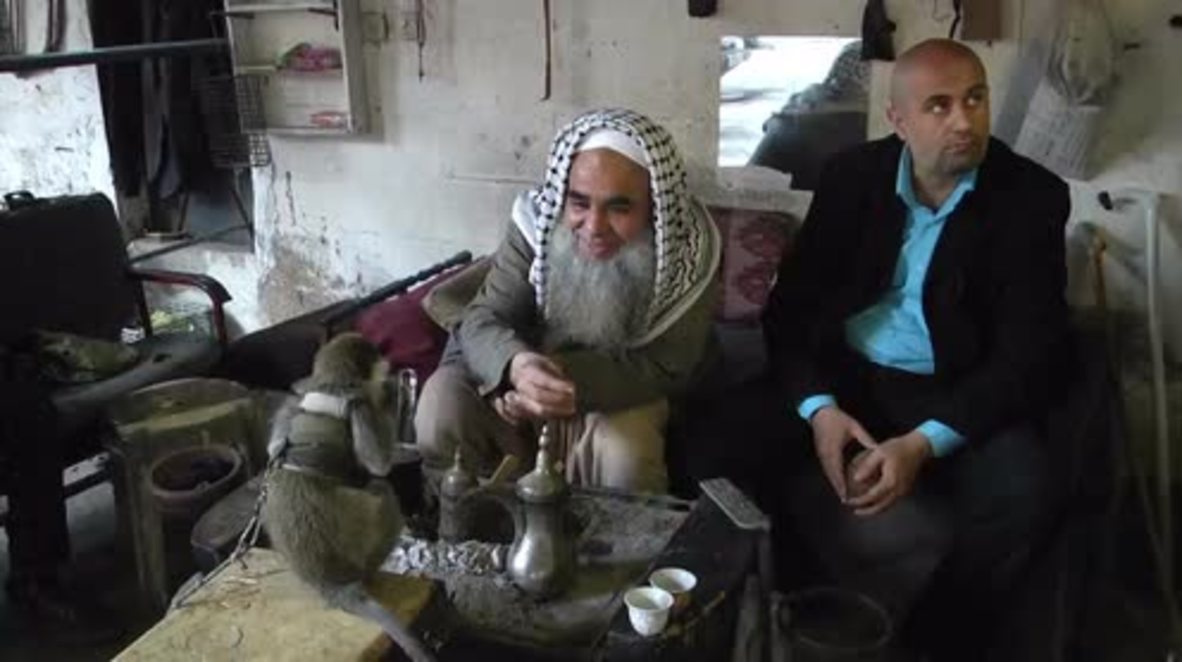 State of Palestine: Velhan the monkey steals Gazans' hearts in tour of Rafah