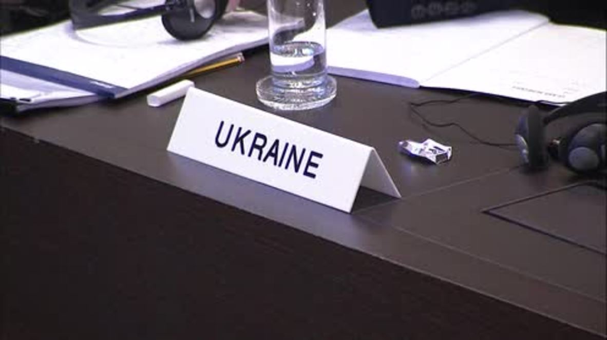 Netherlands: Ukraine demands provisional measures on Russia while case heard at ICJ