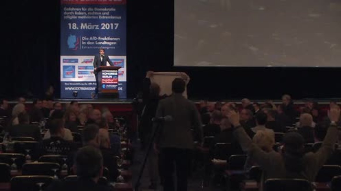 Germany: Scuffles break out as protesters disrupt AfD conference on extremism