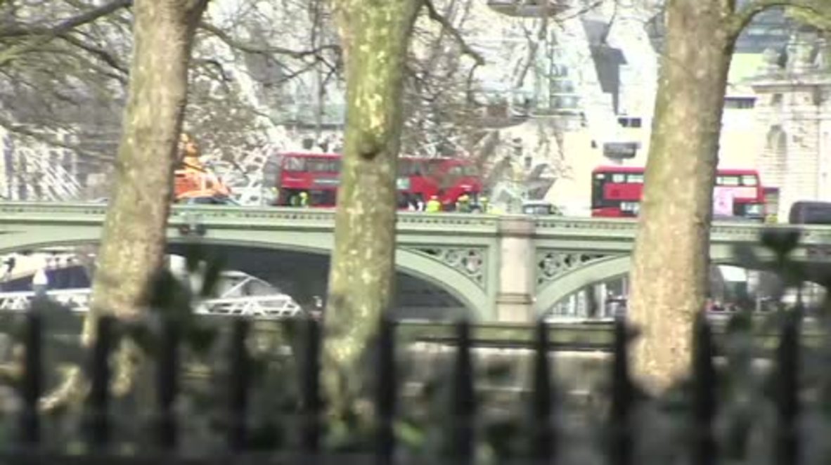 UK: Gunfire erupts outside Houses of Parliament, car and knife attack reported
