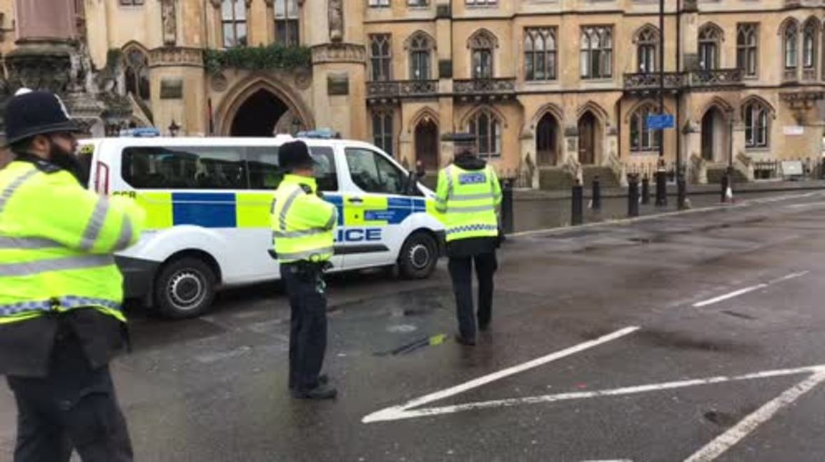 UK: 'Our flags are at half-mast but London is still moving' - locals react to Westminster attack