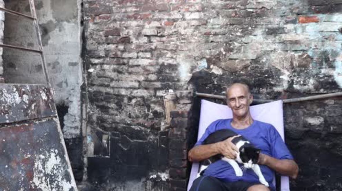 Argentina: Hero cat 'Loli' saves sleeping owner from fire