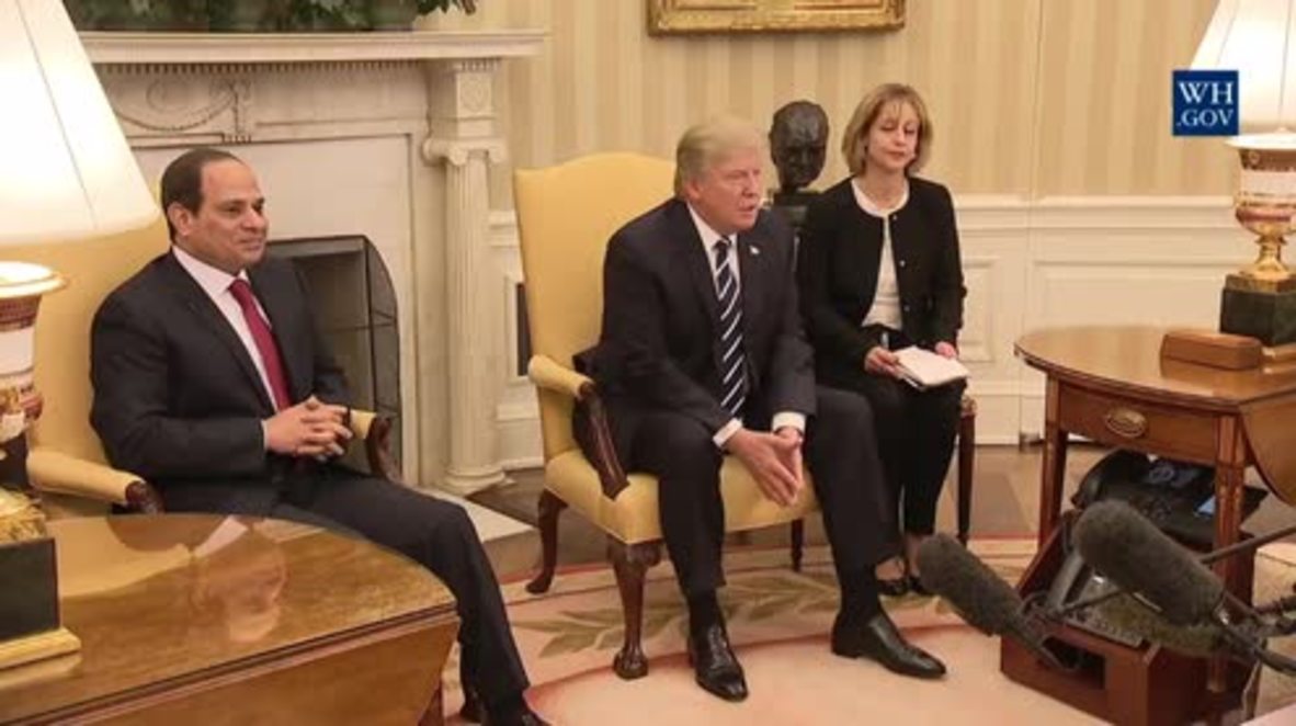 USA: Trump 'very much behind' Egypt's al-Sisi