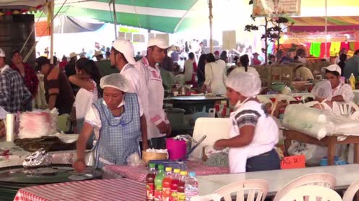 Mexico: Get your tasty snake tacos at Santiago de Anaya's traditional food fair