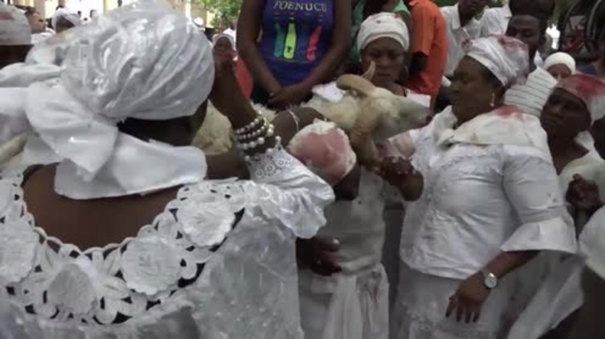 Haiti: Goats and cows sacrificed at bloody Voodoo festival *GRAPHIC*