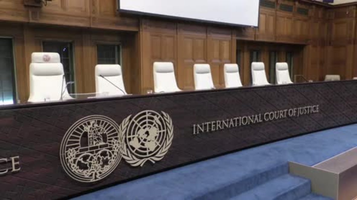 Netherlands: Ukraine deems ICJ partial grant of provisional measures 'very positive'