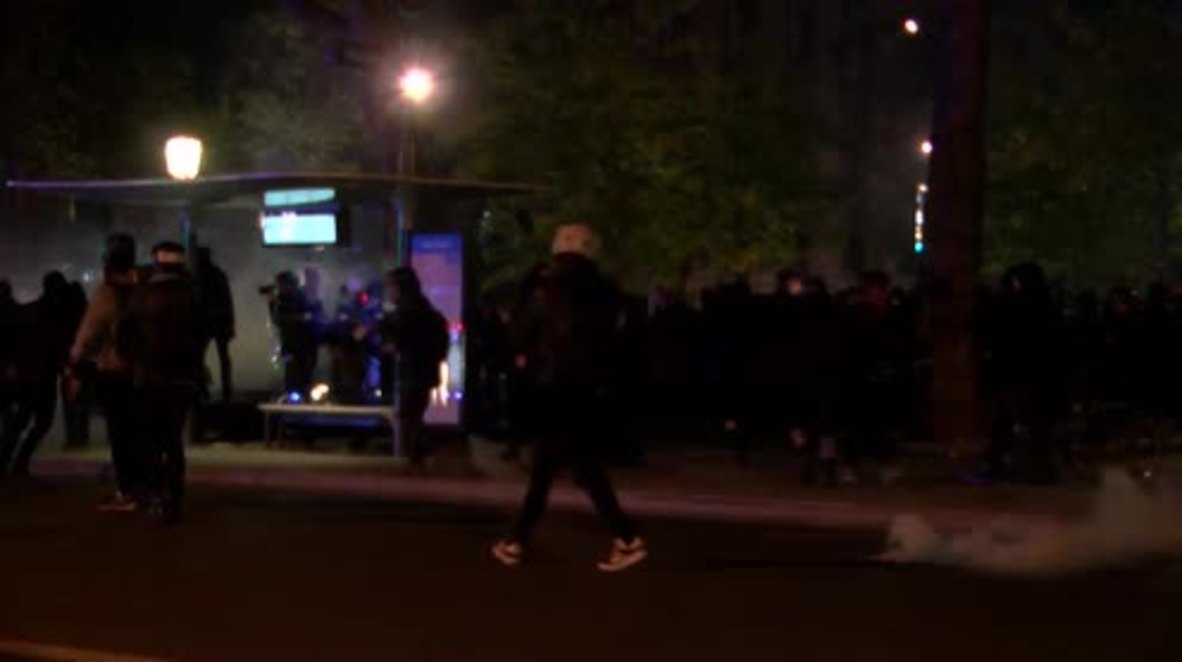 France: Tear gas flies in Paris as anti-Le Pen left faces off with police