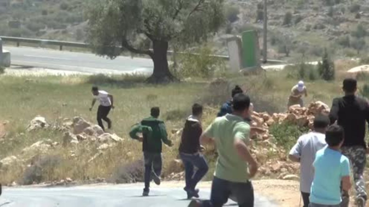 State of Palestine: 10 hunger strike solidarity protesters injured in clashes with IDF - reports