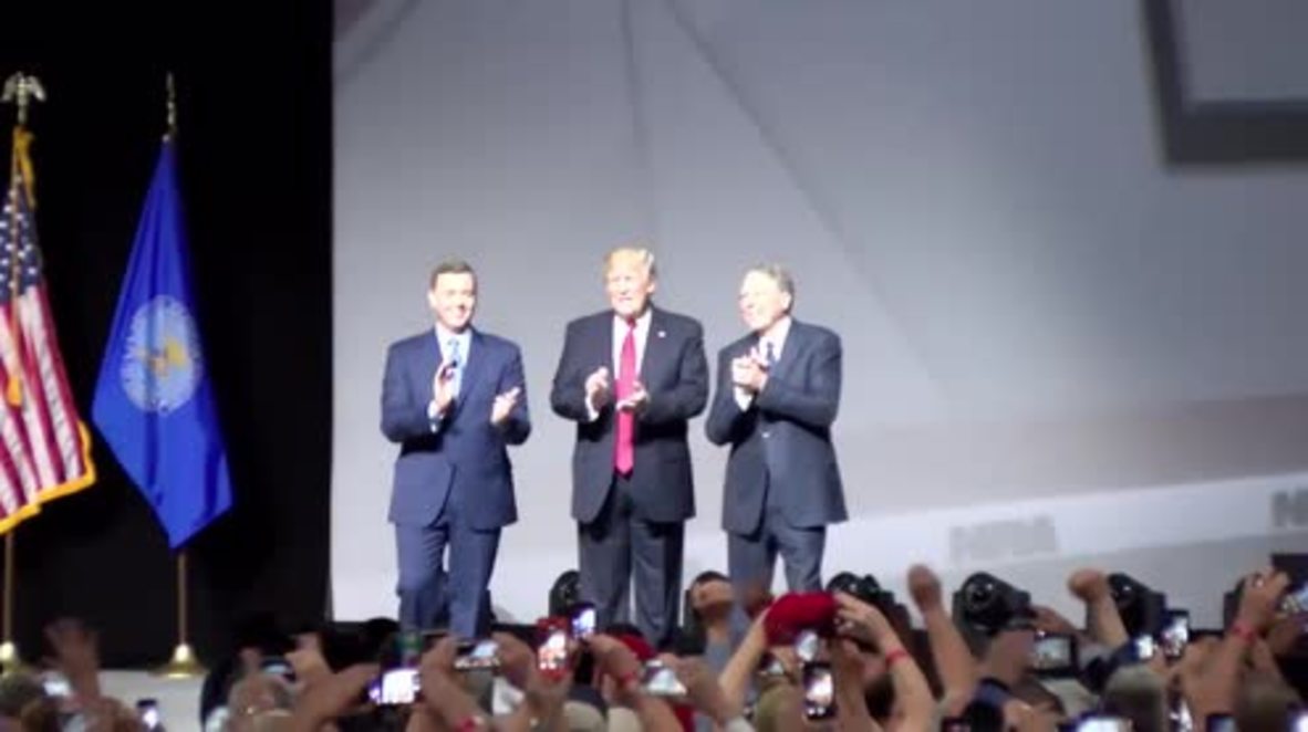 USA: '8-year assault' on gun rights is over Trump tells NRA