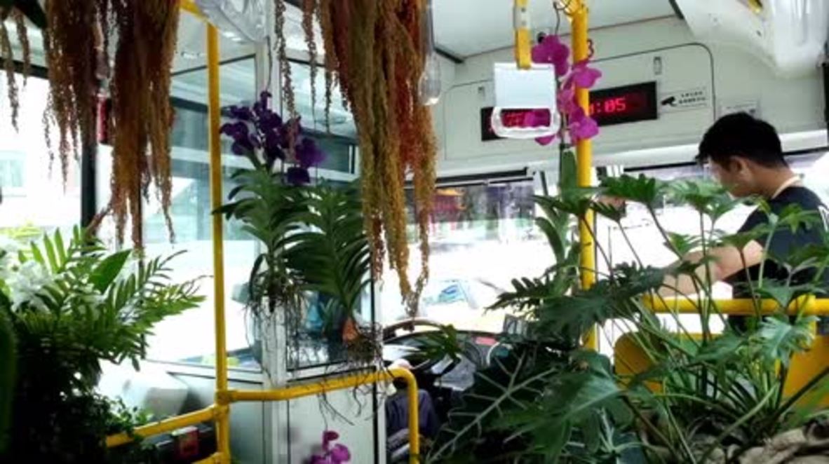 Taiwan: All aboard the jungle bus! Would you commute to work in this garden on wheels?
