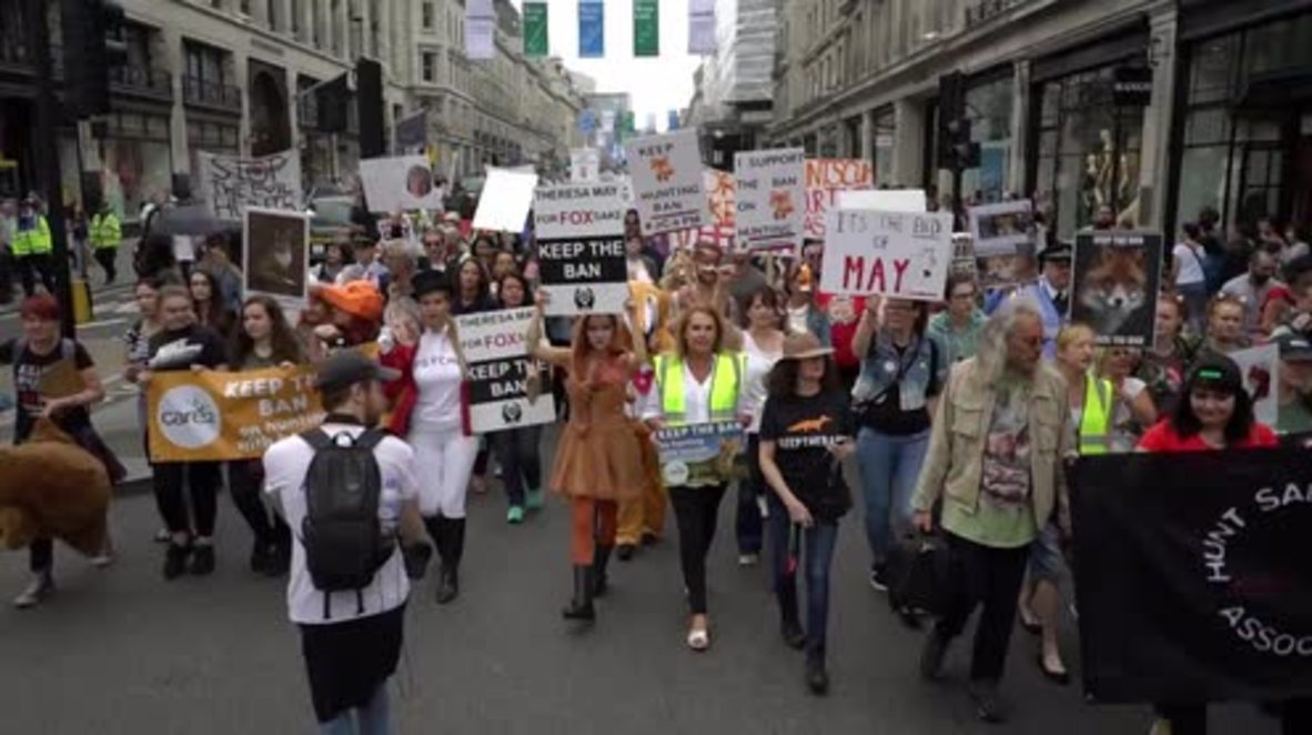 UK: ‘Save a fox, hunt a Tory’ - Thousands march against May’s fox hunting ban decision