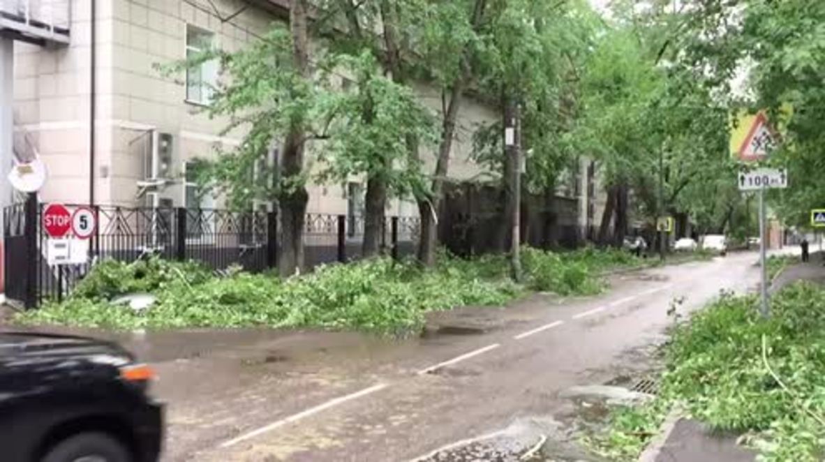 Russia: Fallen trees litter Moscow streets after hurricane-like storm