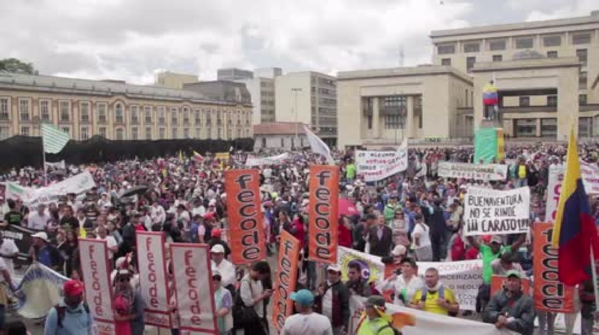Colombia: Teachers and farmers gather in Bogota for general strike