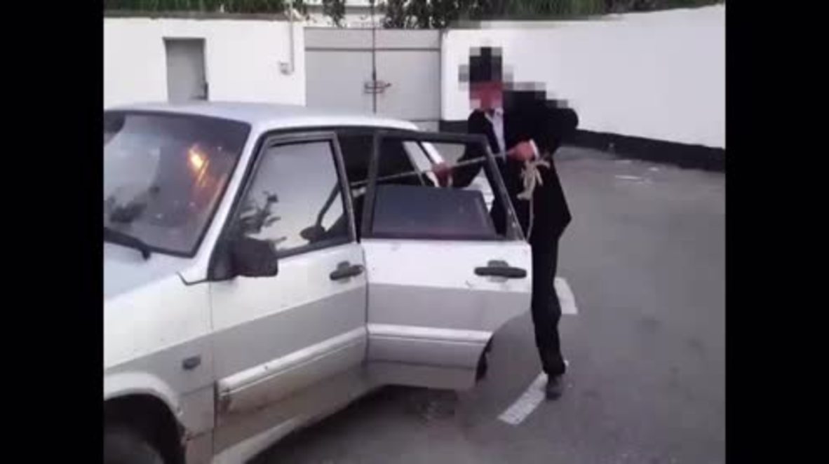 Traffic police not aMOOsed as they discover COW in back of car