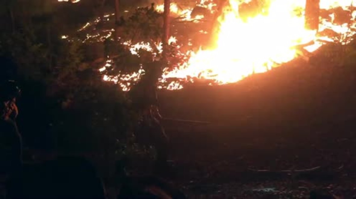 USA: Firefighters rescue baby deer from wildfire in Arizona