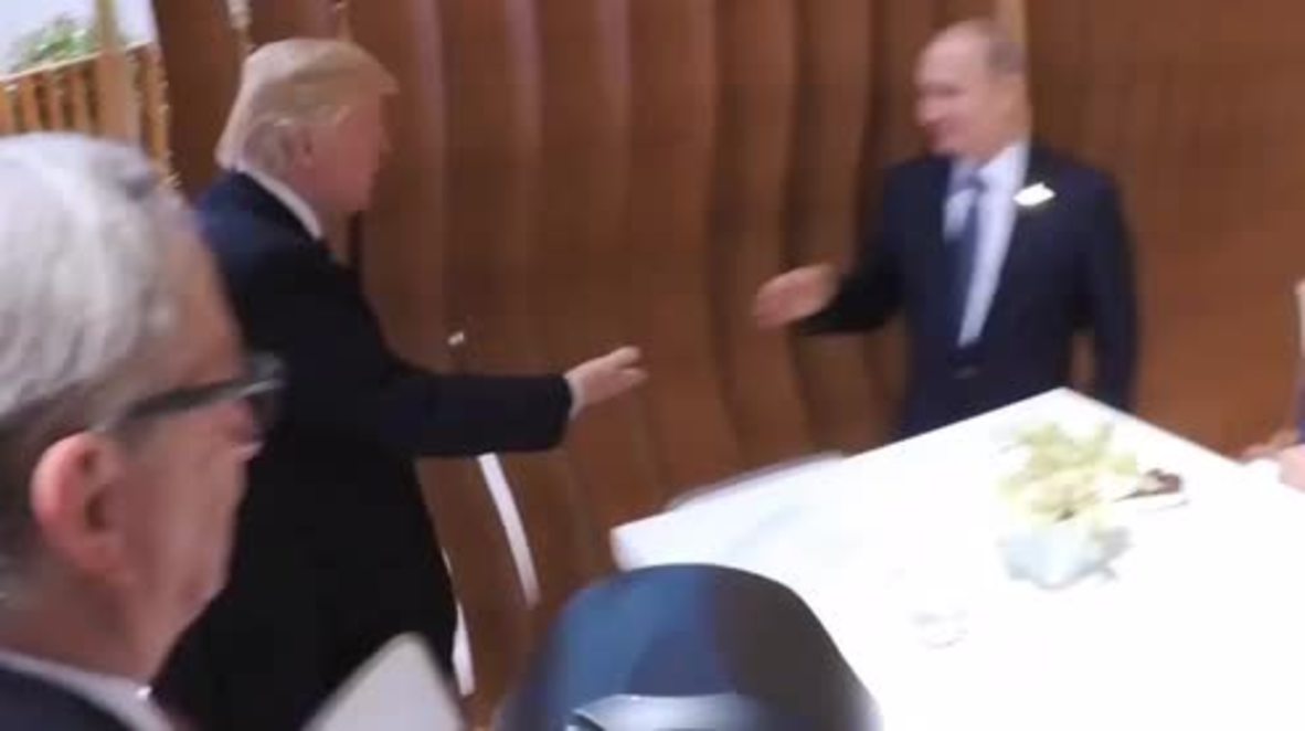 Germany: Trump and Putin shake hands for the first time at G20