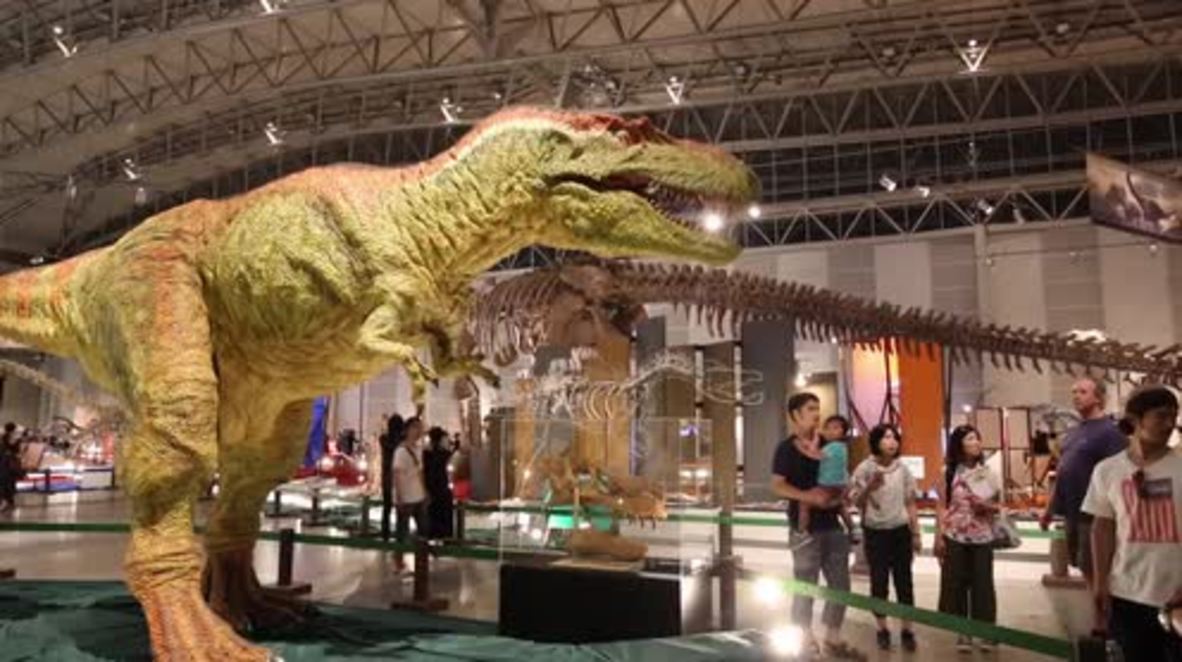 Japan: Colossal animatronic T-Rex wows Chiba museum visitors