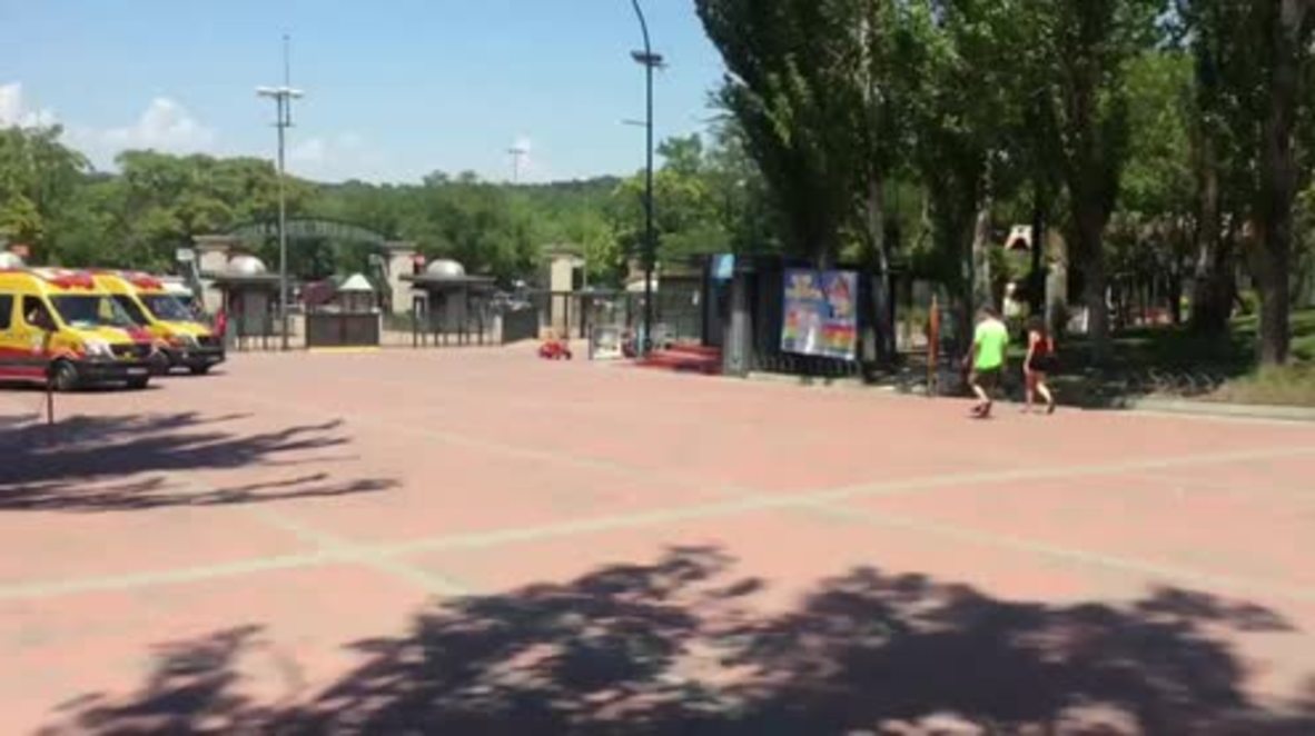Spain: Thirty-three injured as two trains collide at Madrid theme park