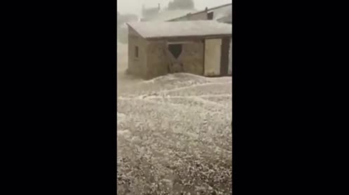 All hail Donkey! Local shepherd spots animal out in hailstorm