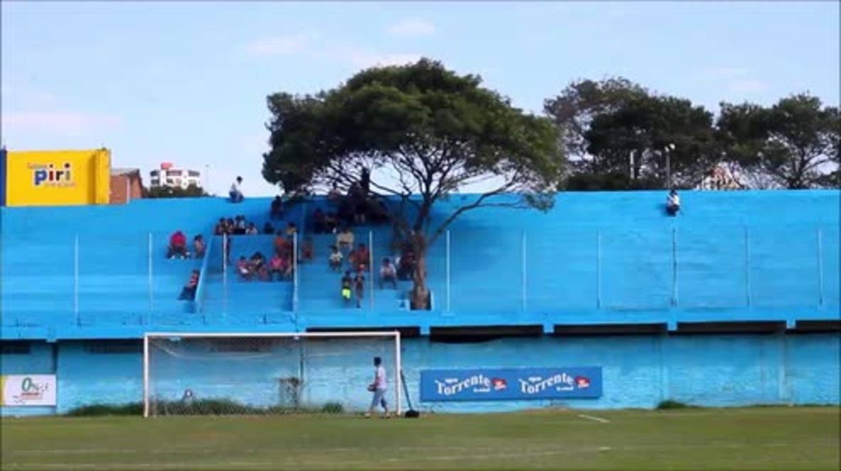 Hat-treeck hero! Tree becomes official supporter of Paraguayan football club