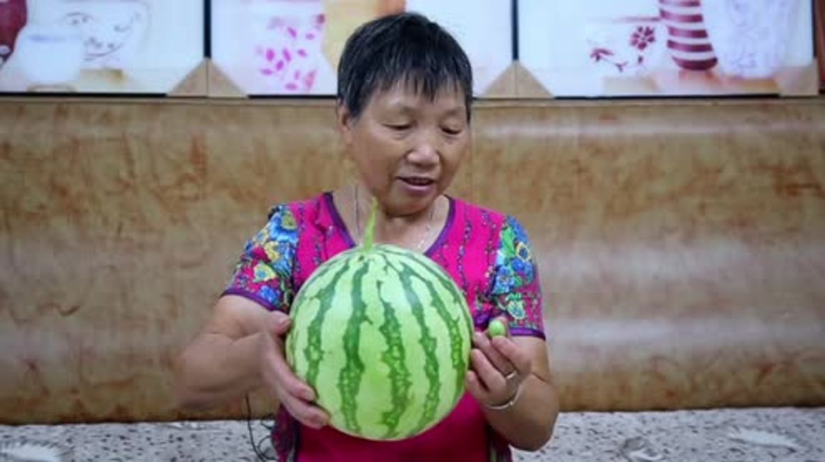 Cute fruit! These TINY baby watermelons will revolutionise your lunchbox
