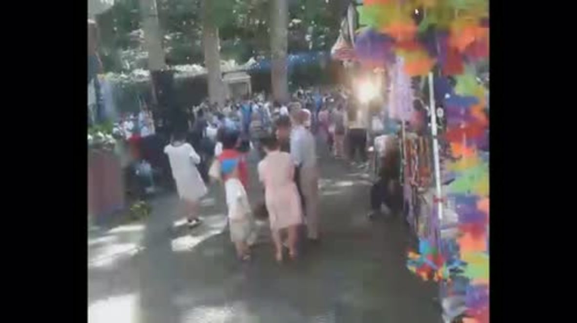 Portugal: Moment of horror - 12 dead after tree falls on festival goers in Madeira