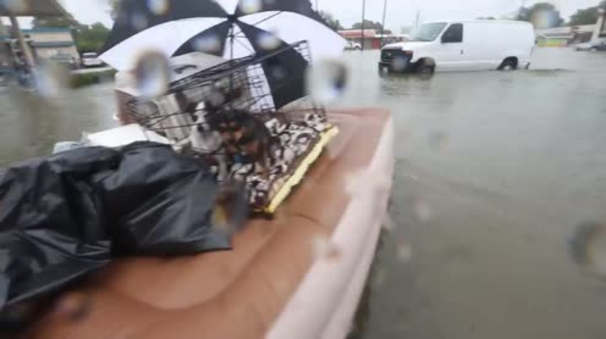 USA: Dogs and owners flee Houston floodwaters in wake of Hurricane Harvey