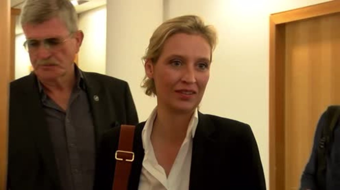 Germany: Merkel should be taken 'to court' - AfD frontrunner attacks German Chancellor